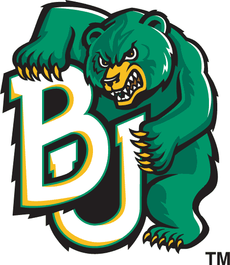 Baylor Bears 1997-2004 Alternate Logo t shirts DIY iron ons